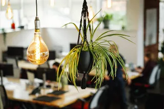 This is digital LOW RES 81